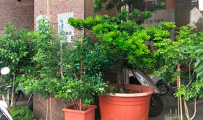 居家清潔、辦公室清潔、清潔服務