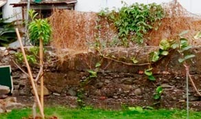 高雄清潔 推薦,清潔公司評價